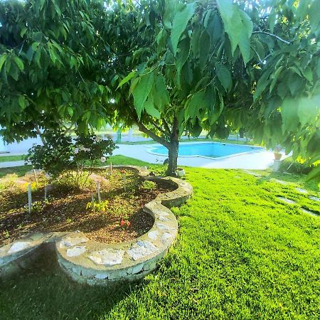 Kaja House Apartments Lozovac Ngoại thất bức ảnh