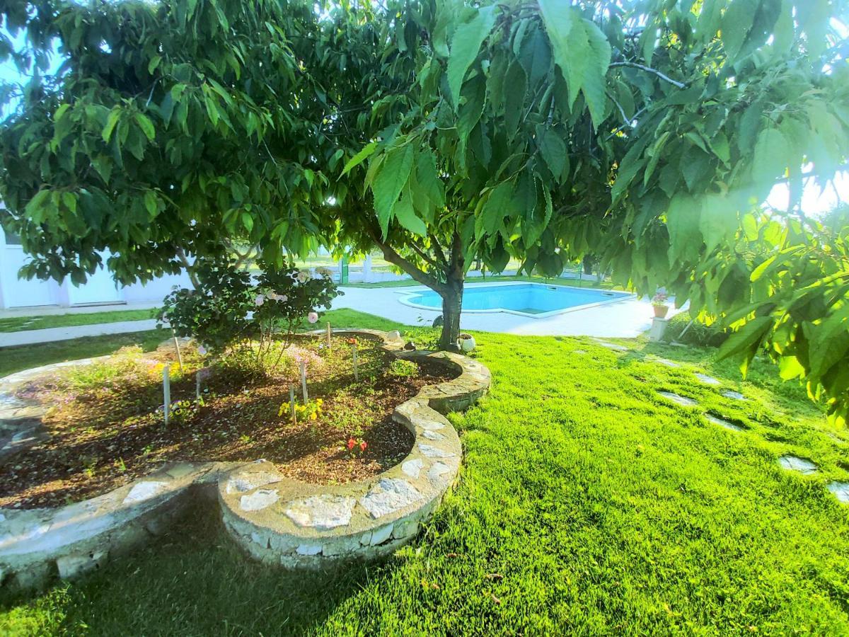 Kaja House Apartments Lozovac Ngoại thất bức ảnh