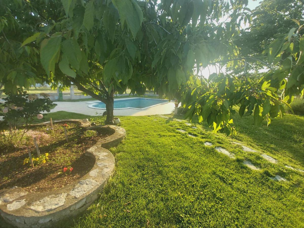 Kaja House Apartments Lozovac Ngoại thất bức ảnh