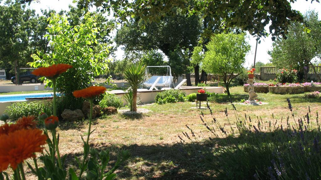 Kaja House Apartments Lozovac Ngoại thất bức ảnh