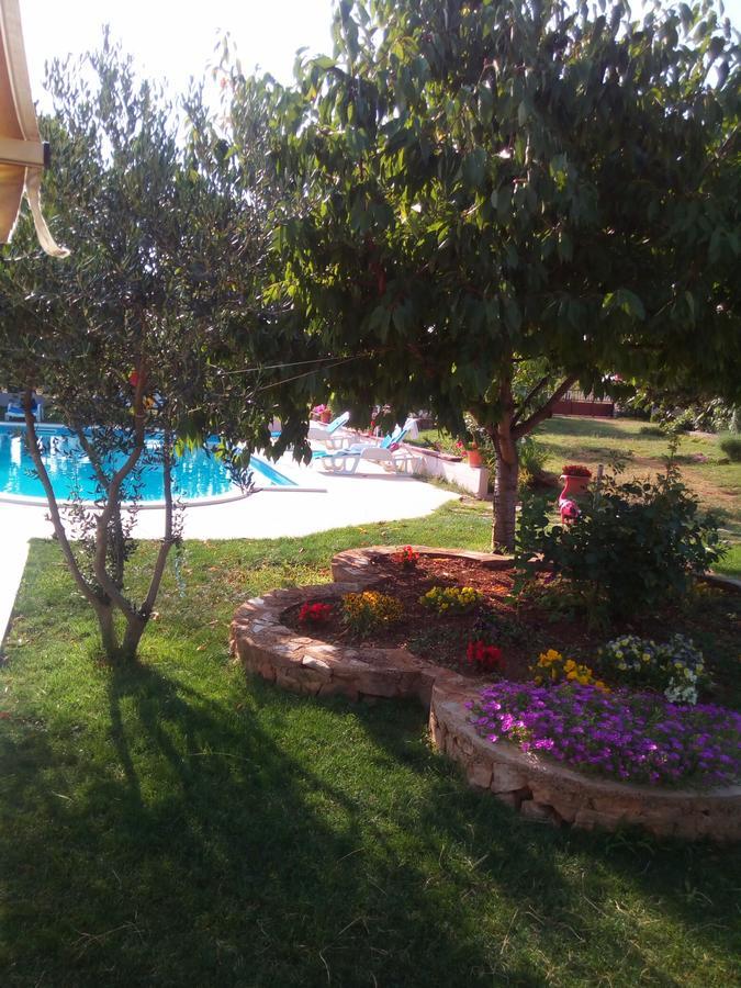 Kaja House Apartments Lozovac Ngoại thất bức ảnh
